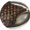 Cowboy Steak
